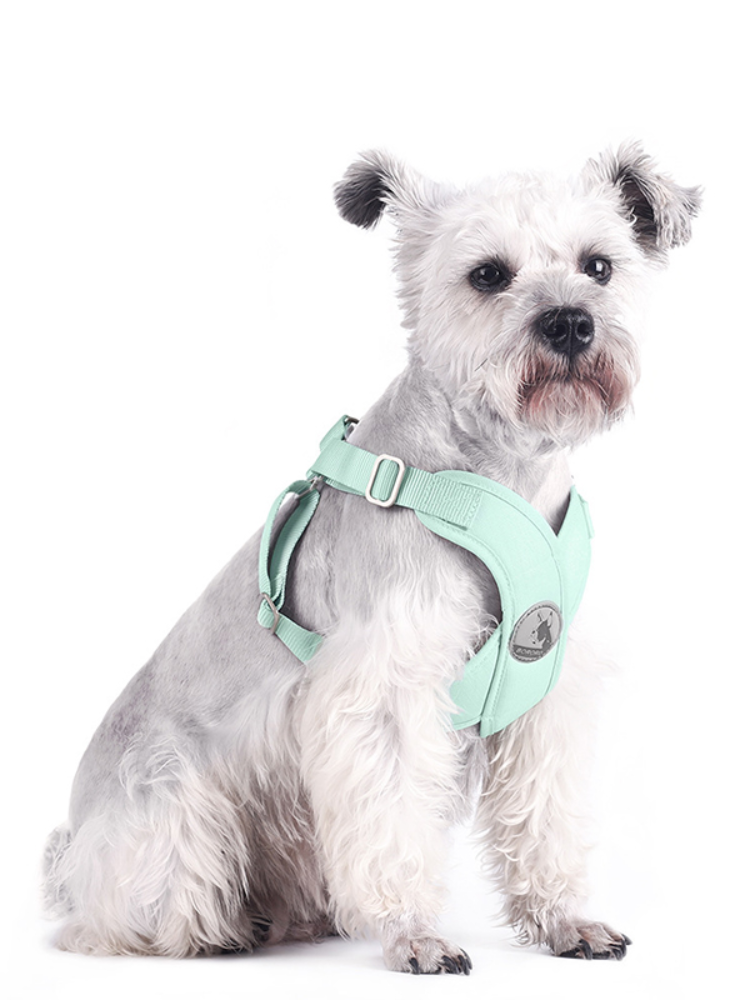 Adjustable Dog Harness for Comfortable Daily Walks