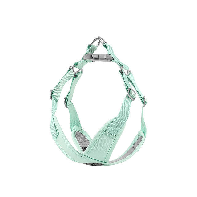 Adjustable Dog Harness for Comfortable Daily Walks