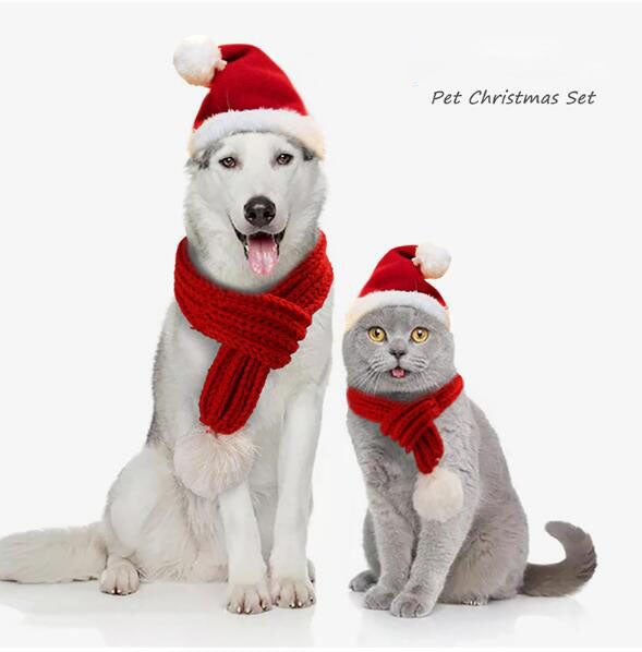 Pet Christmas Hat & Scarf Set for Festive Photos