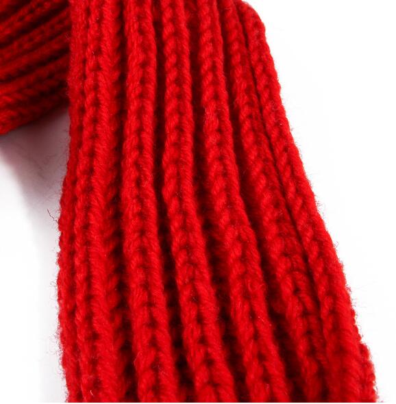 Pet Christmas Hat & Scarf Set for Festive Photos