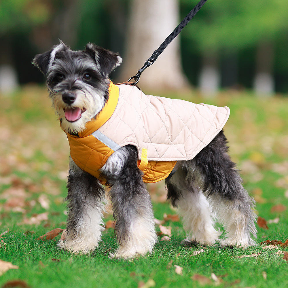 Reflective Padded Dog Coat for Warm Outdoor Winter Walks