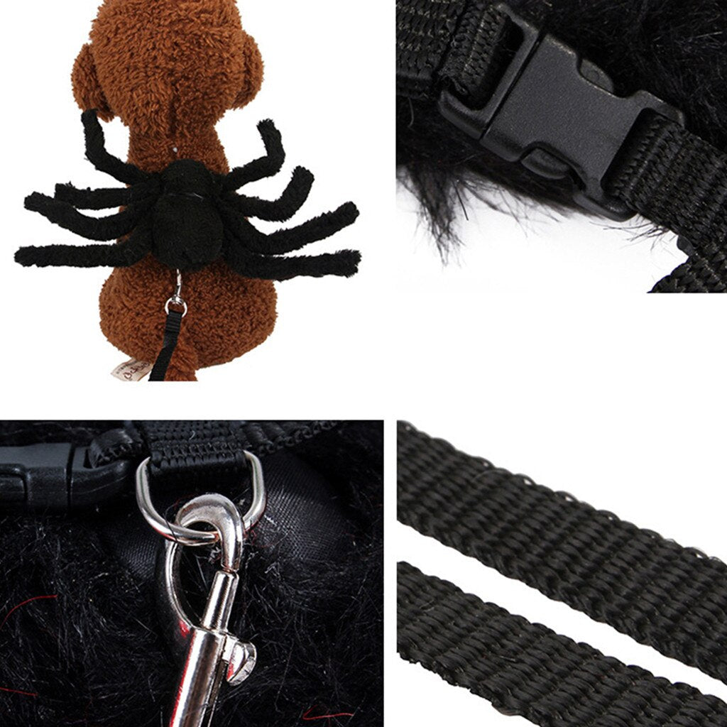 Spider Cat Costume & Small Dog Halloween Harness Set