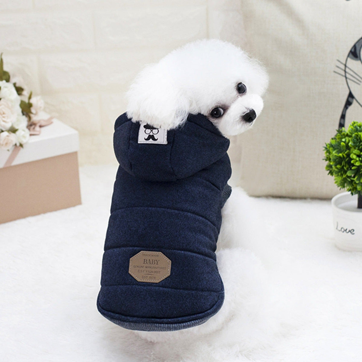 Small Dog Winter Coat - Quilted Warmth for Walks