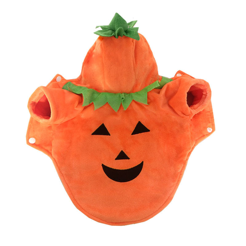 Pumpkin Dog Costume for Cozy Halloween Photo Moments