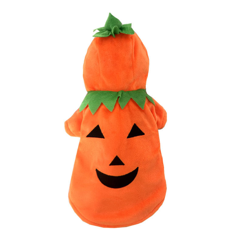 Pumpkin Dog Costume for Cozy Halloween Photo Moments