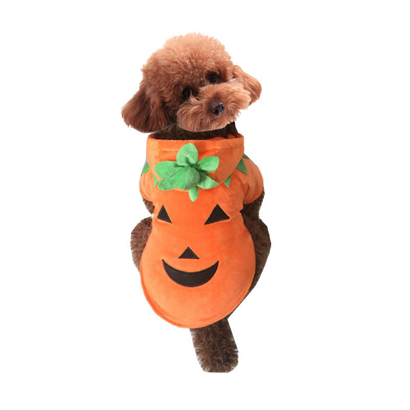 Pumpkin Dog Costume for Cozy Halloween Photo Moments