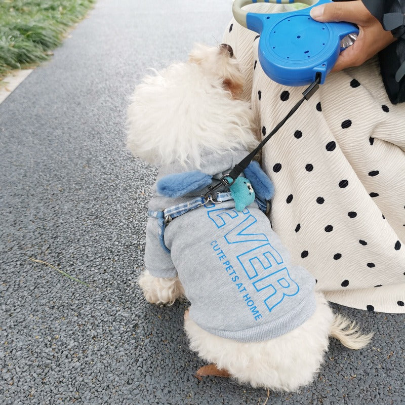 Hooded Dog Sweater for Warm, Cozy Cold-Weather Walks