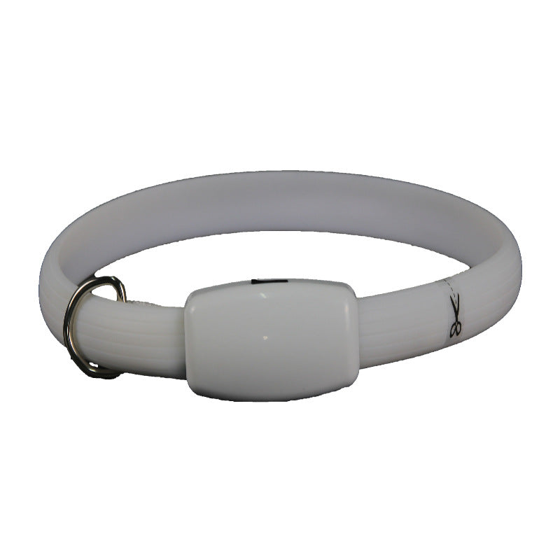 LED Dog Collar for Brighter Nighttime Walk Visibility