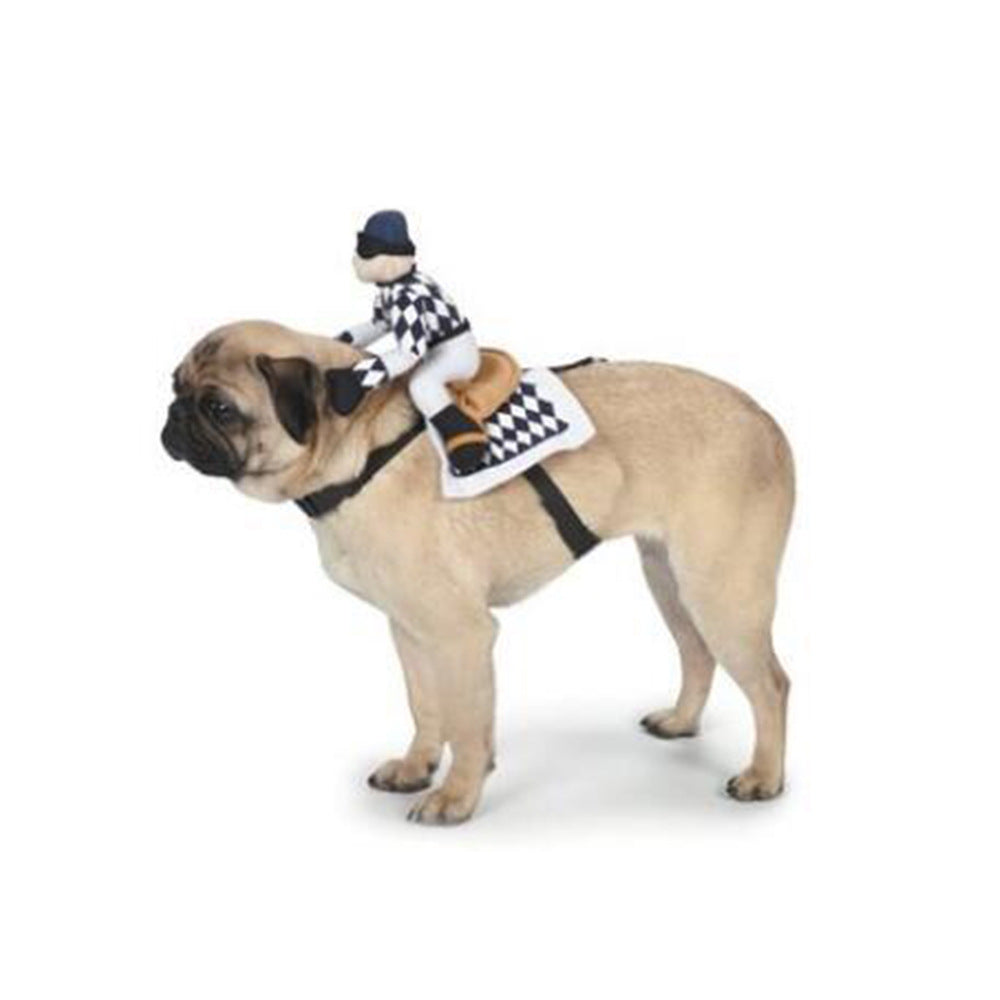Pet Character Costume for Memorable Halloween Photos