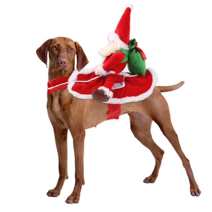 Pet Character Costume for Memorable Halloween Photos