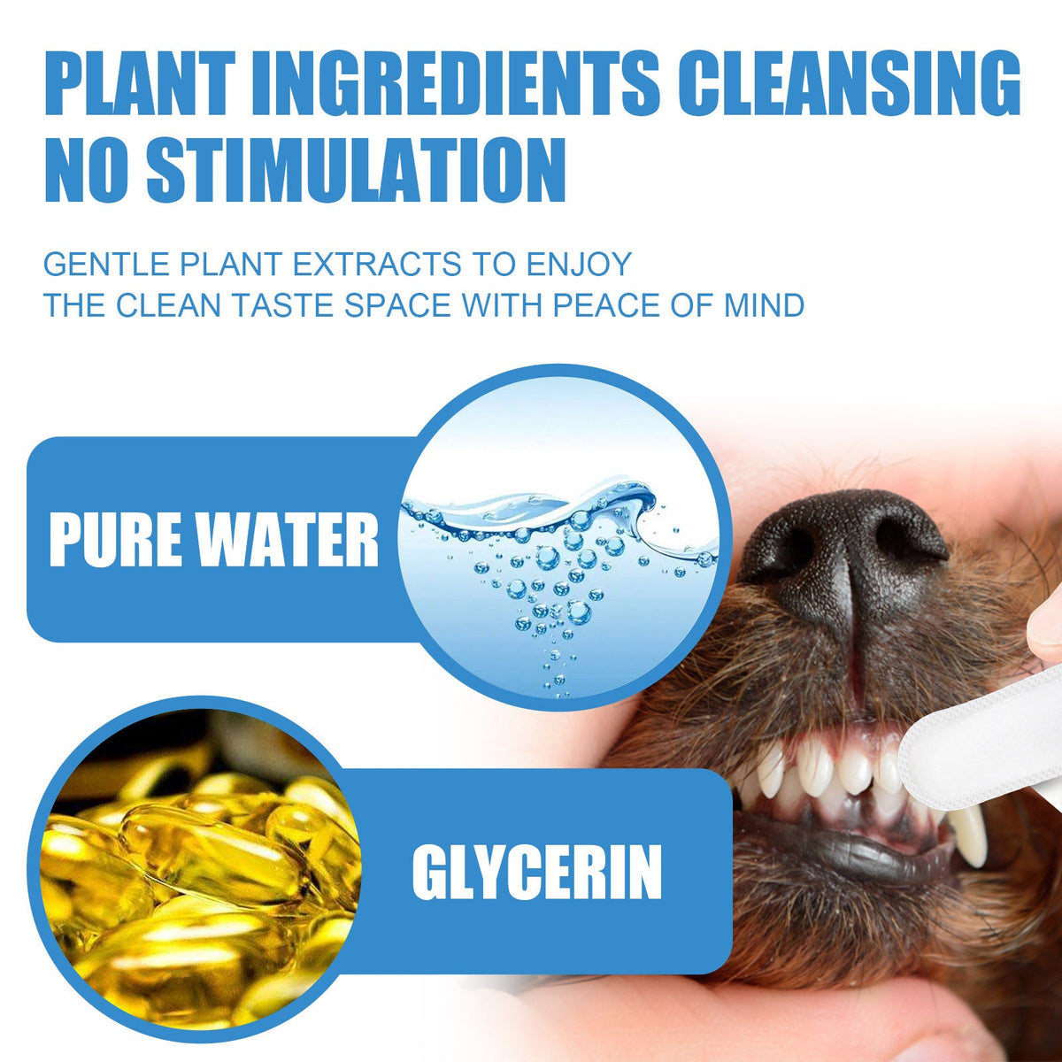 Pet Dental Finger Wipes for Dogs - Fresh Breath, 50pc