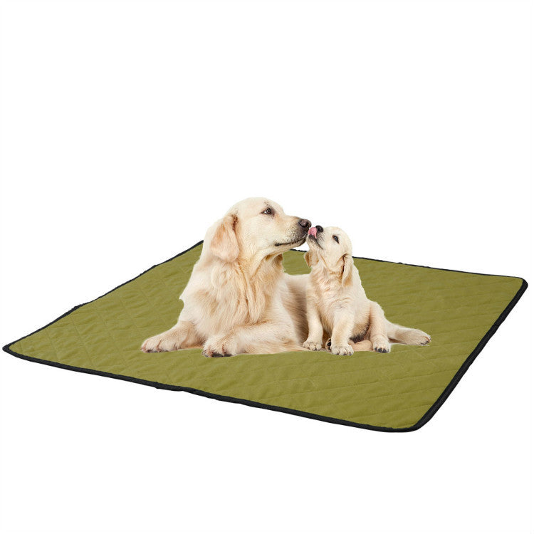 Reusable Dog Diaper Pad for Absorbent Floor Protection