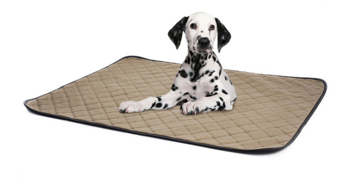 Reusable Dog Diaper Pad for Absorbent Floor Protection