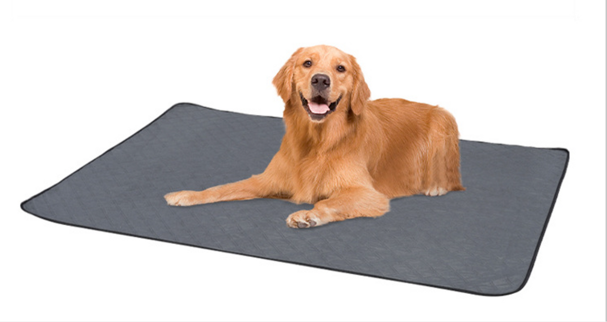 Reusable Dog Diaper Pad for Absorbent Floor Protection