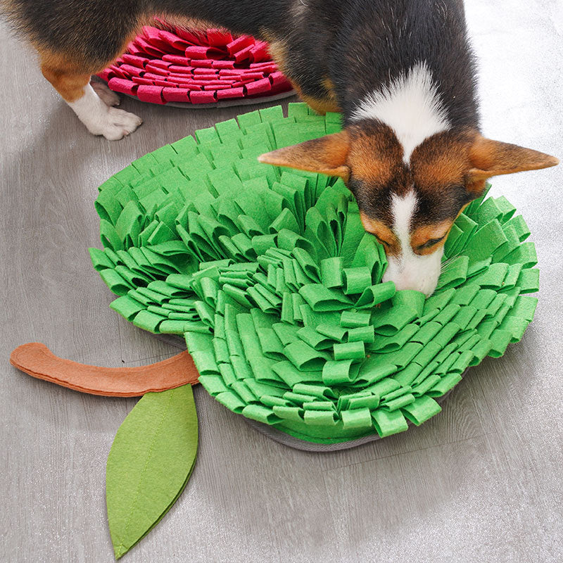 Dog Snuffle Mat for Indoor Enrichment & Slow Feeding