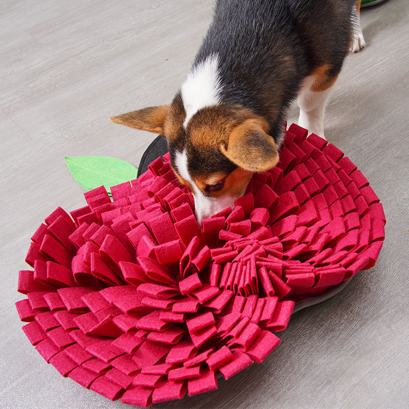 Dog Snuffle Mat for Indoor Enrichment & Slow Feeding