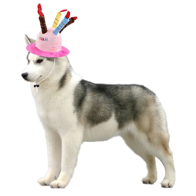 Pet Birthday Hat for Dogs & Cats, Photo-Ready Fun