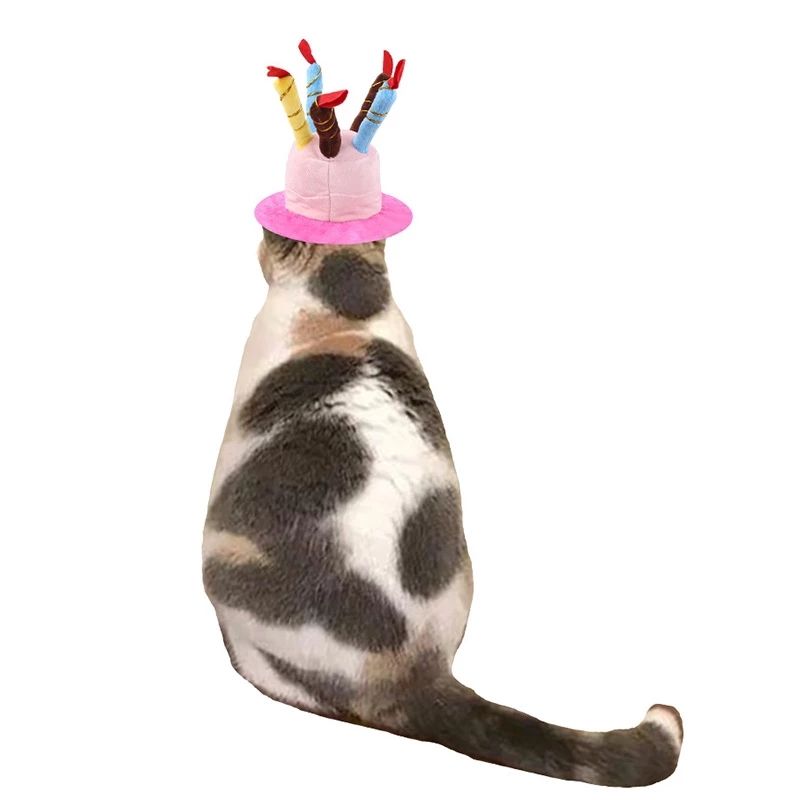 Pet Birthday Hat for Dogs & Cats, Photo-Ready Fun