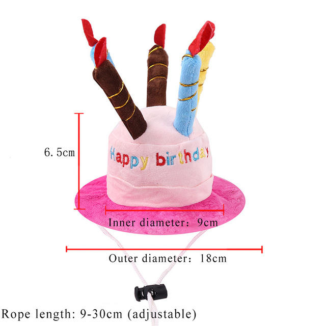 Pet Birthday Hat for Dogs & Cats, Photo-Ready Fun