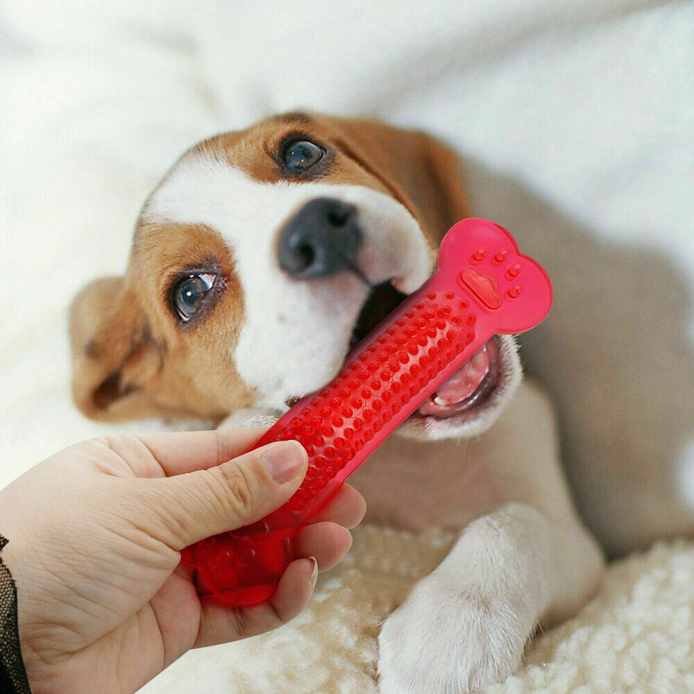 Dog Dental Chew Toy for Cleaner Teeth During Fun Play