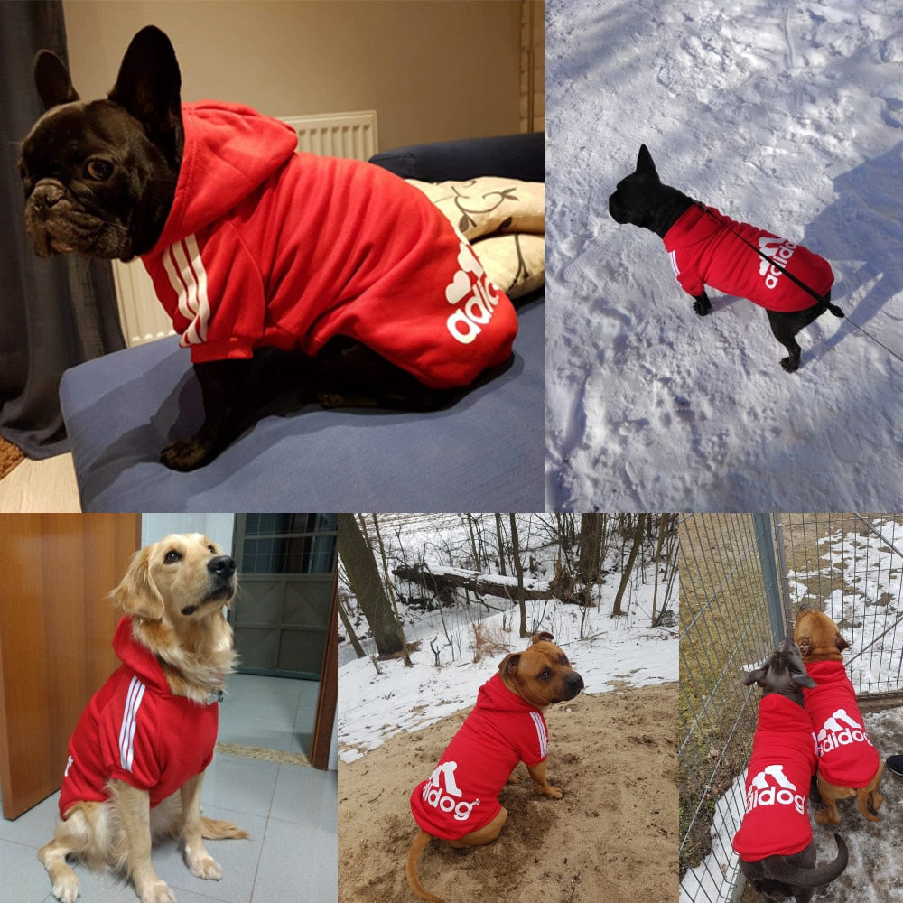 Large Dog Hoodie Winter Coat for Warm Outdoor Walks