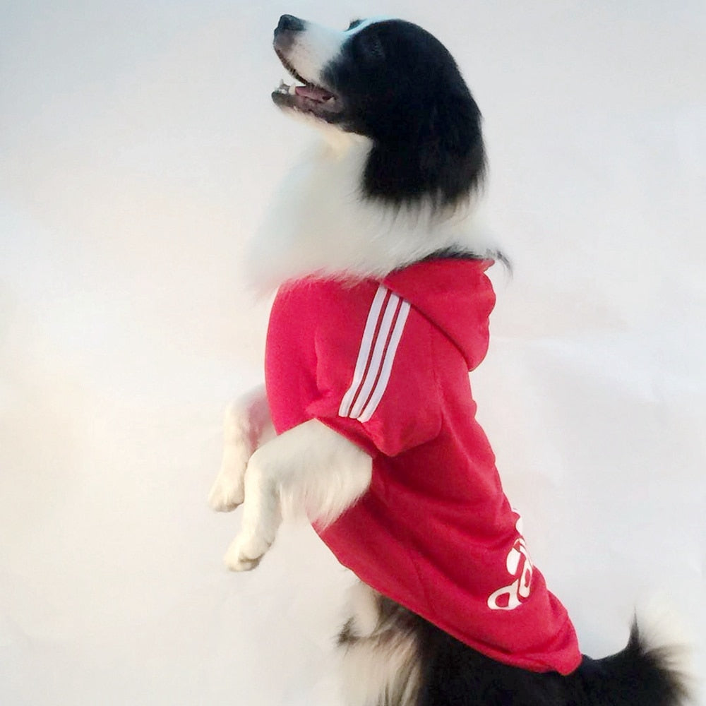 Large Dog Hoodie Winter Coat for Warm Outdoor Walks