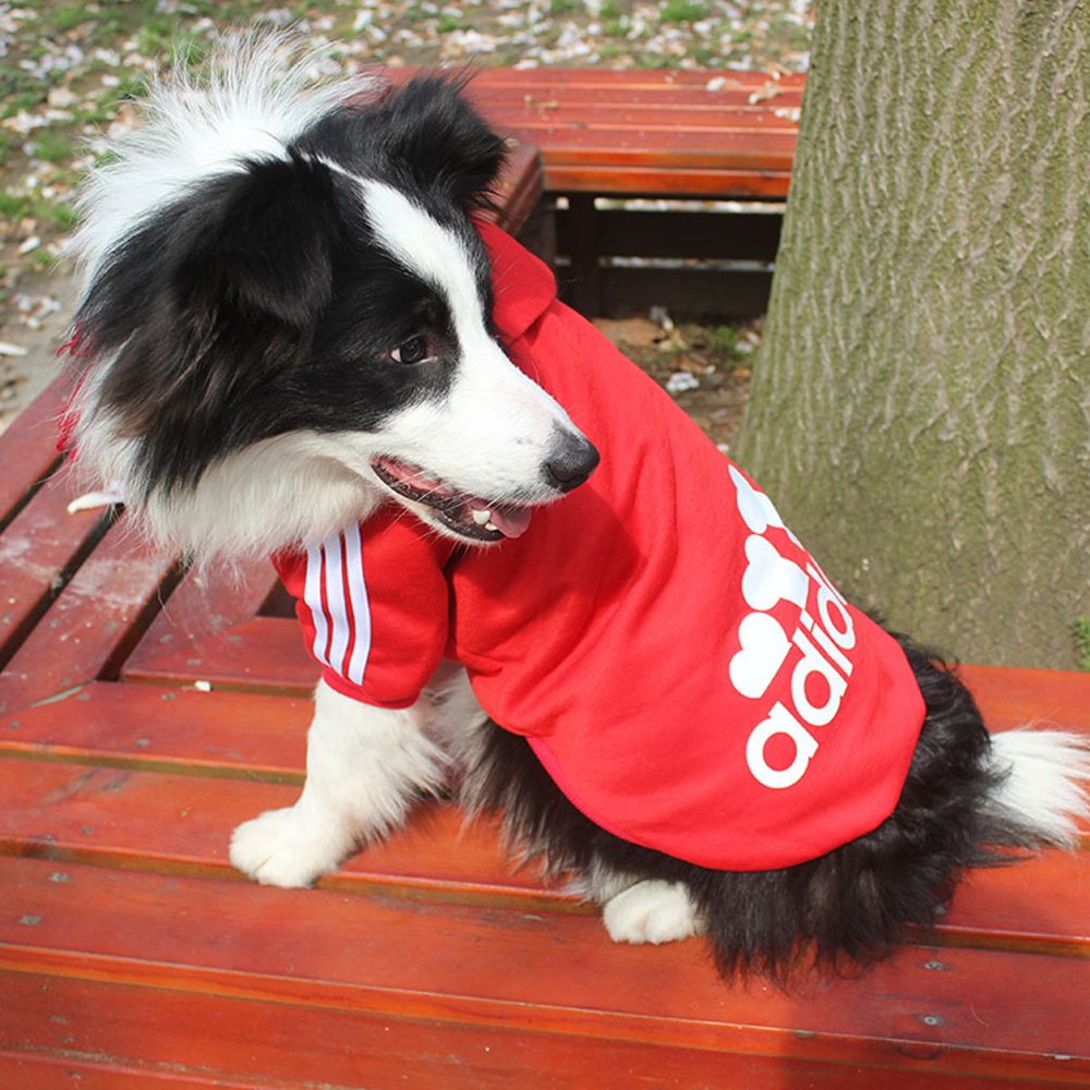 Large Dog Hoodie Winter Coat for Warm Outdoor Walks