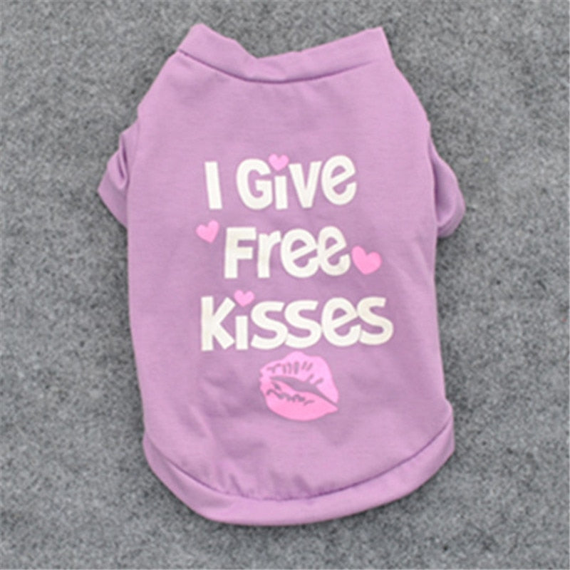 Small Dog Clothes for Cute, Cozy Everyday Outdoor Outings