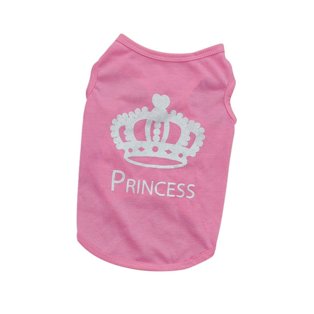 Small Dog Clothes for Cute, Cozy Everyday Outdoor Outings