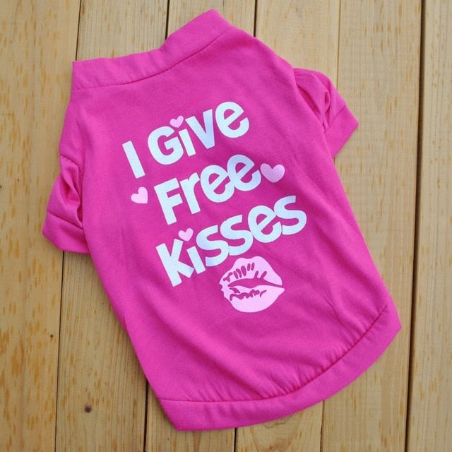 Small Dog Clothes for Cute, Cozy Everyday Outdoor Outings