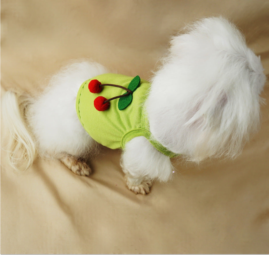 Small Dog St. Patrick's Day Outfit for Festive Photos