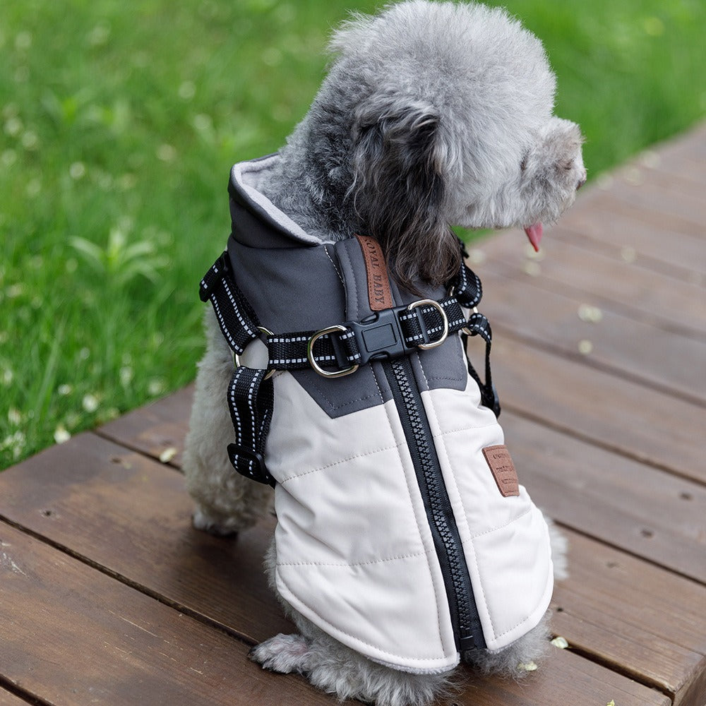 Small Dog Winter Vest With Warm Padded Harness Protection