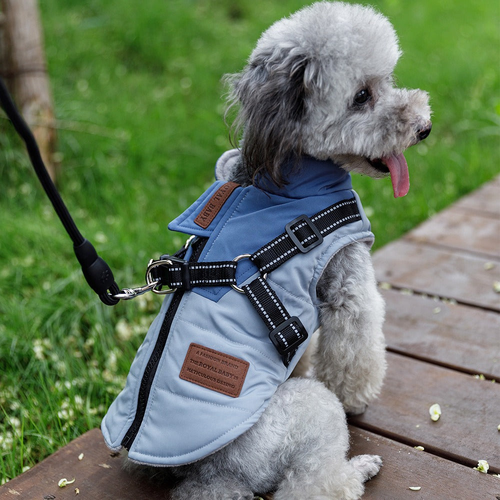 Small Dog Winter Vest With Warm Padded Harness Protection