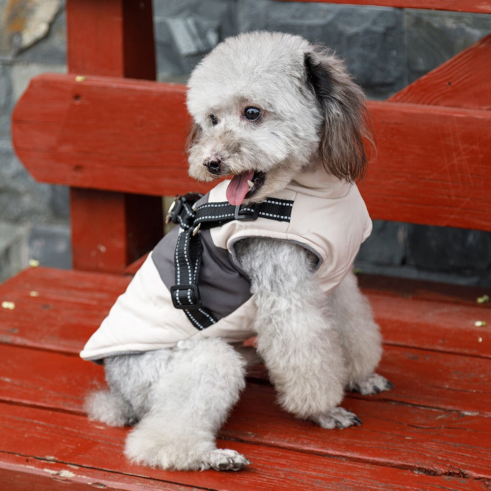 Small Dog Winter Vest With Warm Padded Harness Protection