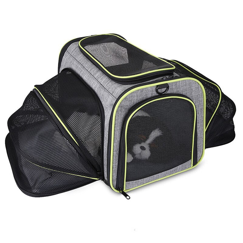 Expandable Pet Carrier Backpack for Cats & Small Dogs