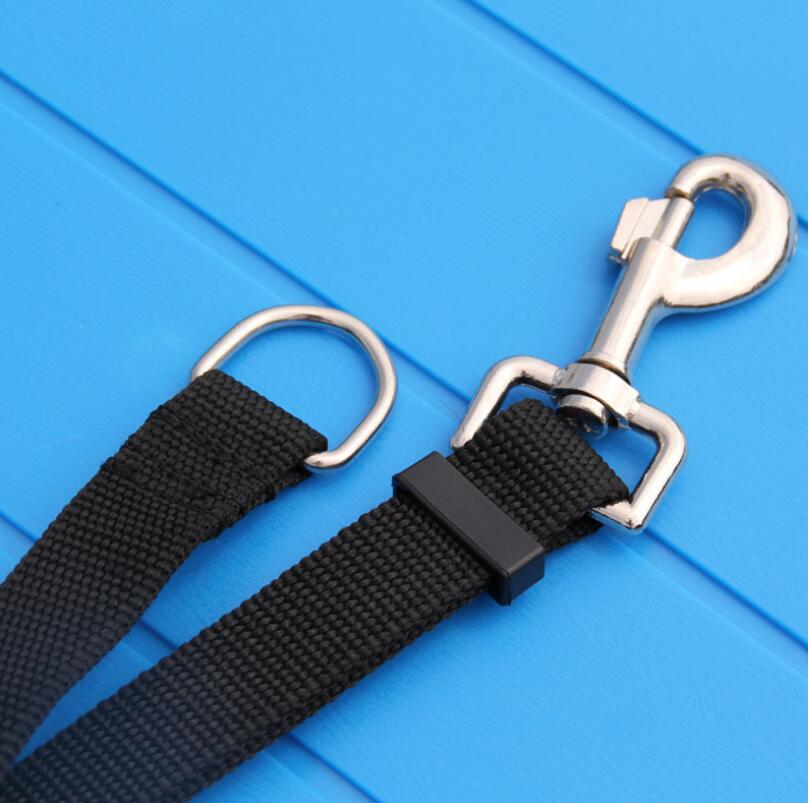 Long Dog Leash for Secure Outdoor Walking & Training