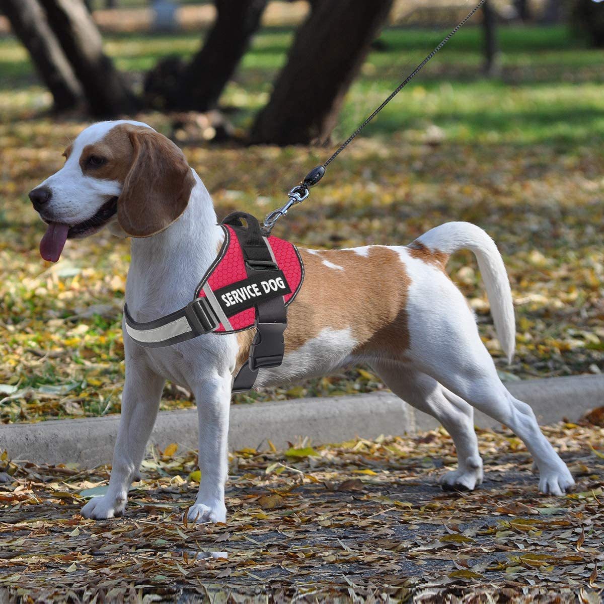 Reflective Service Dog Harness With Secure Control Handle