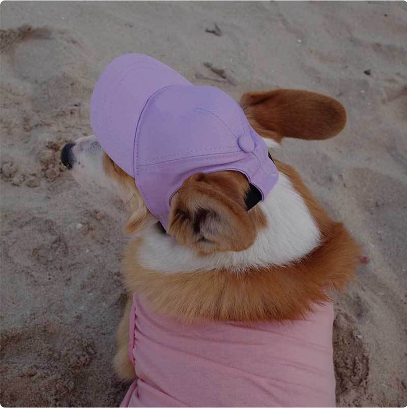 Dog Baseball Cap with Ear Holes for Sun Protection