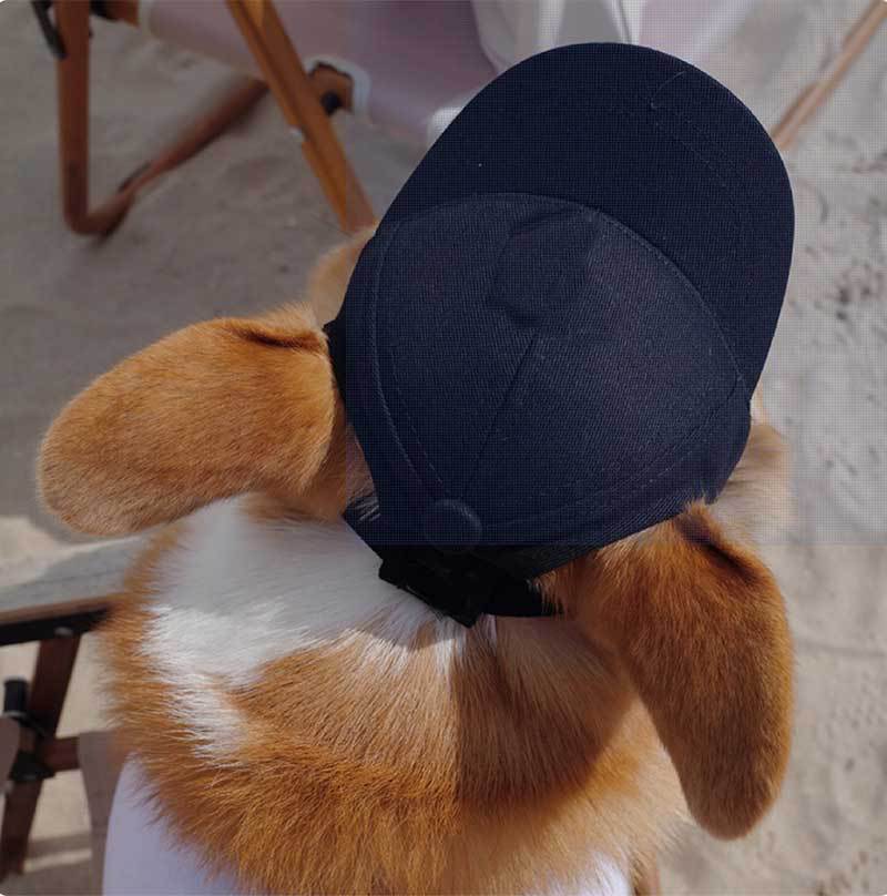 Dog Baseball Cap with Ear Holes for Sun Protection