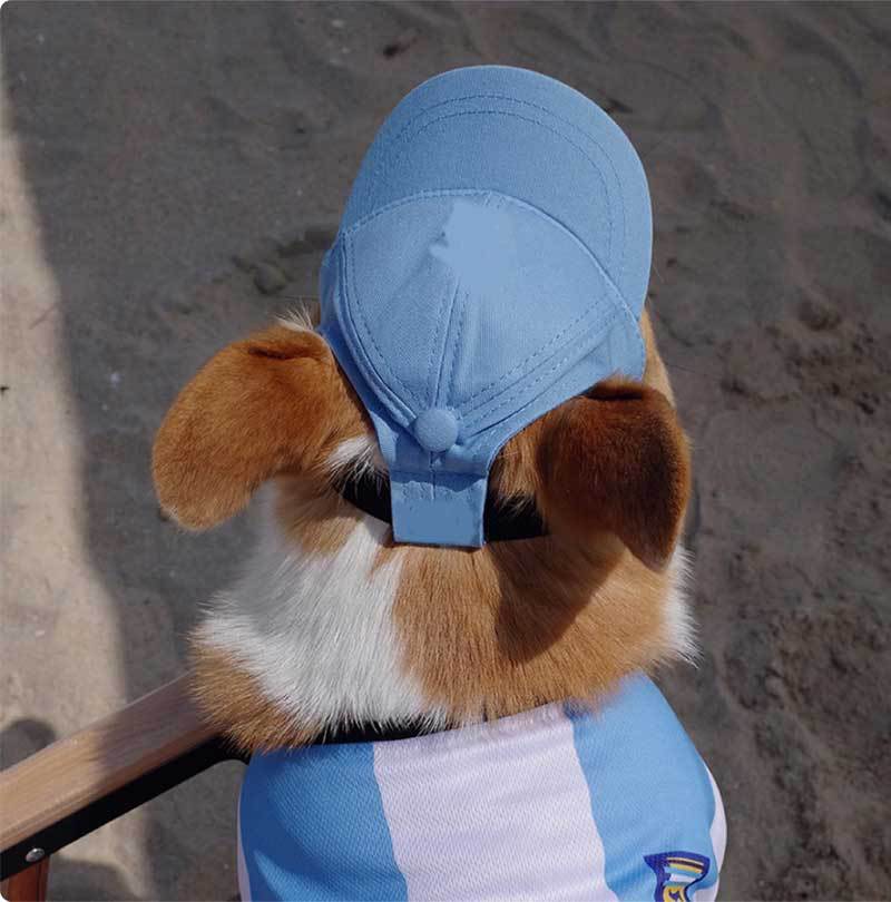Dog Baseball Cap with Ear Holes for Sun Protection