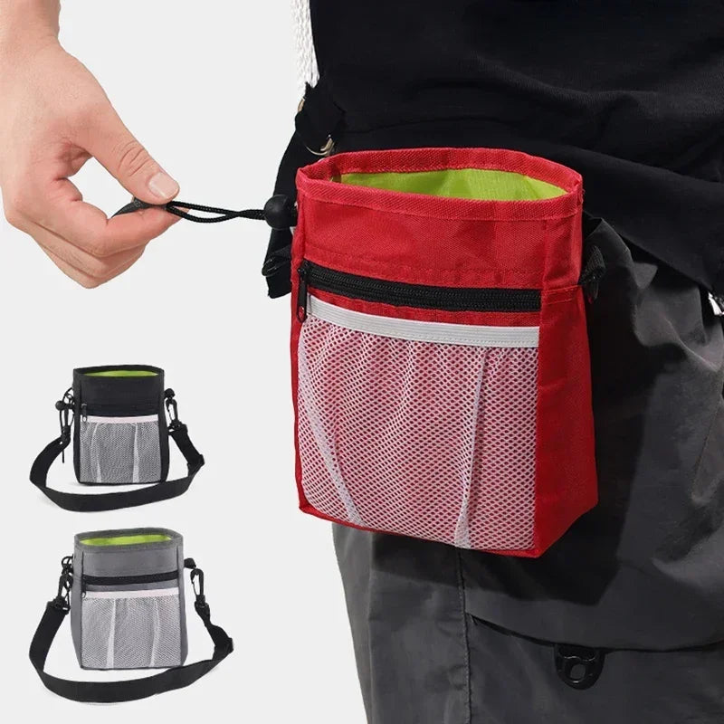 Dog Treat Pouch With Hands-Free Walking Storage Bag