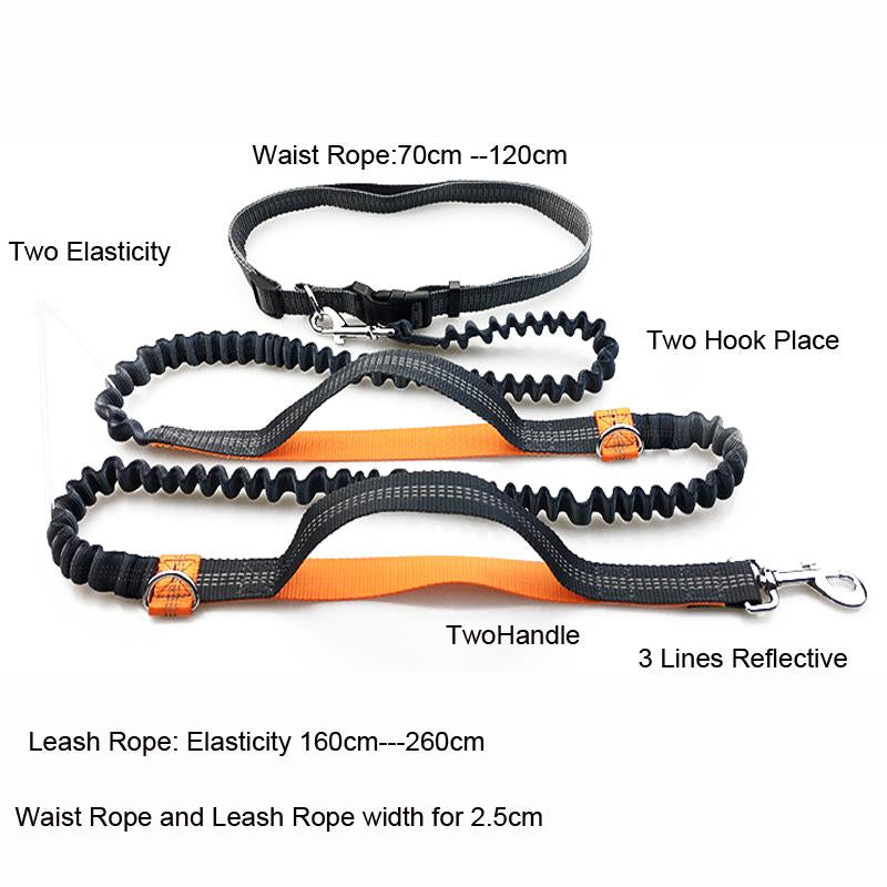 Hands-Free Dog Leash for Running With Reflective Lines