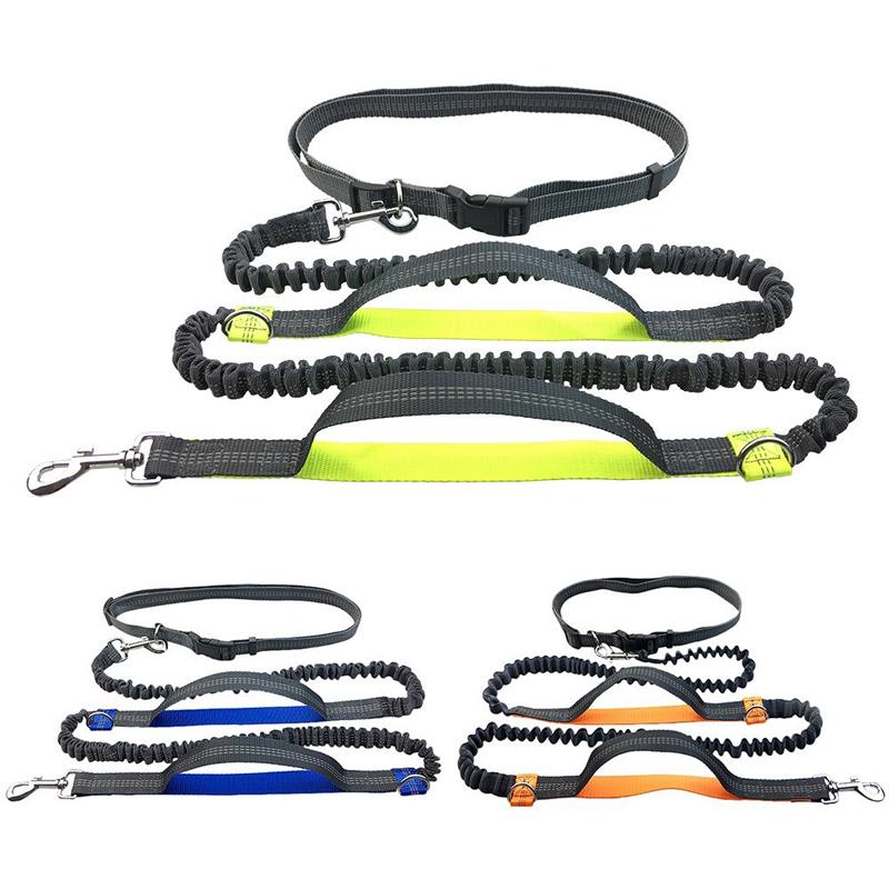 Hands-Free Dog Leash for Running With Reflective Lines