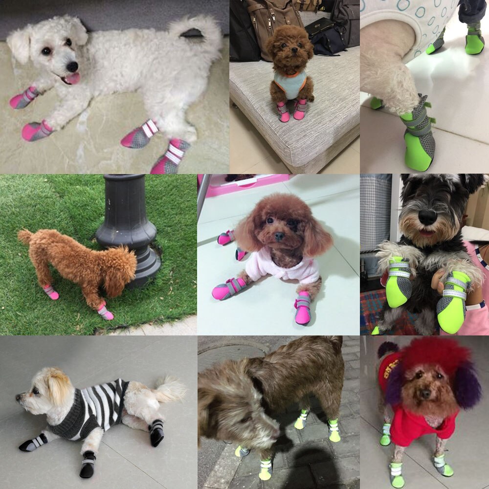 Small Dog Shoes With Anti-Skid Grip for Rainy Walks