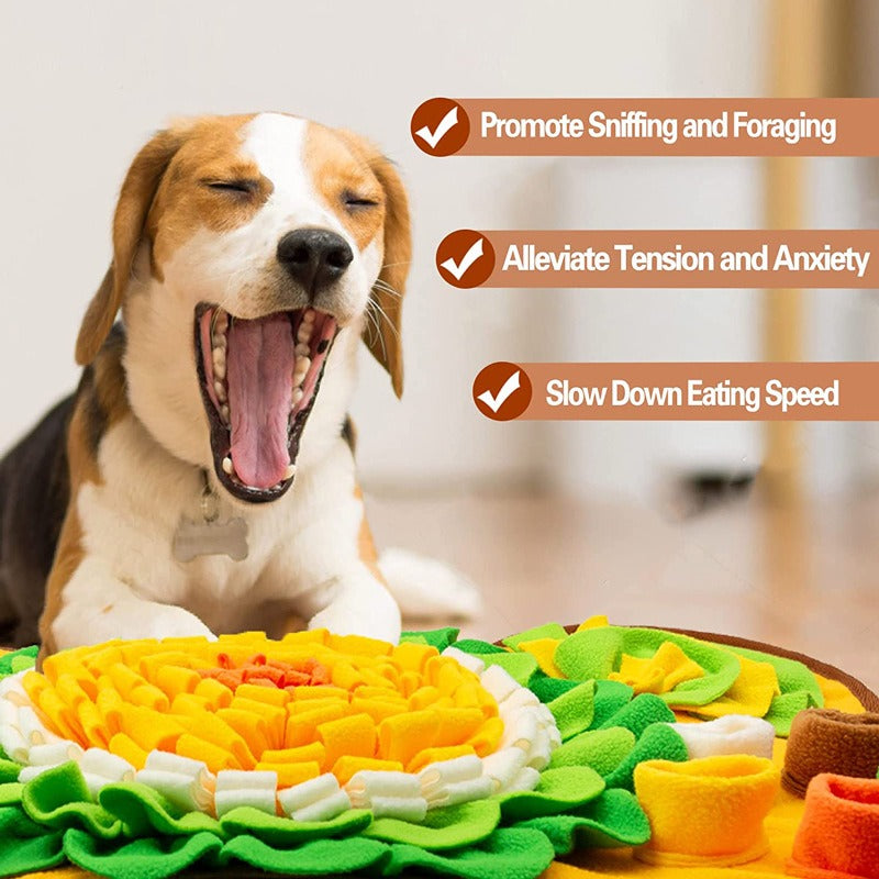 Dog Sniffing Mat: Slow Feeding & Enrichment Washable Toy
