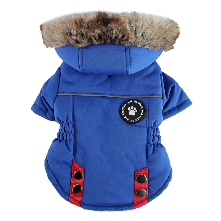 Padded Dog Jacket for Warm, Cozy Winter Walks Outdoors