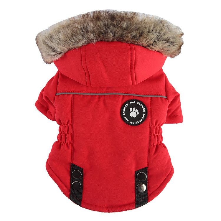 Padded Dog Jacket for Warm, Cozy Winter Walks Outdoors