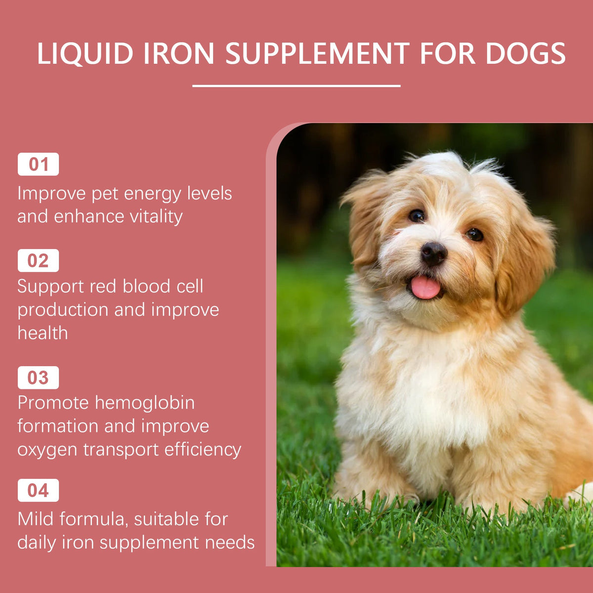 Dog Liquid Iron Supplement for Daily Energy Support