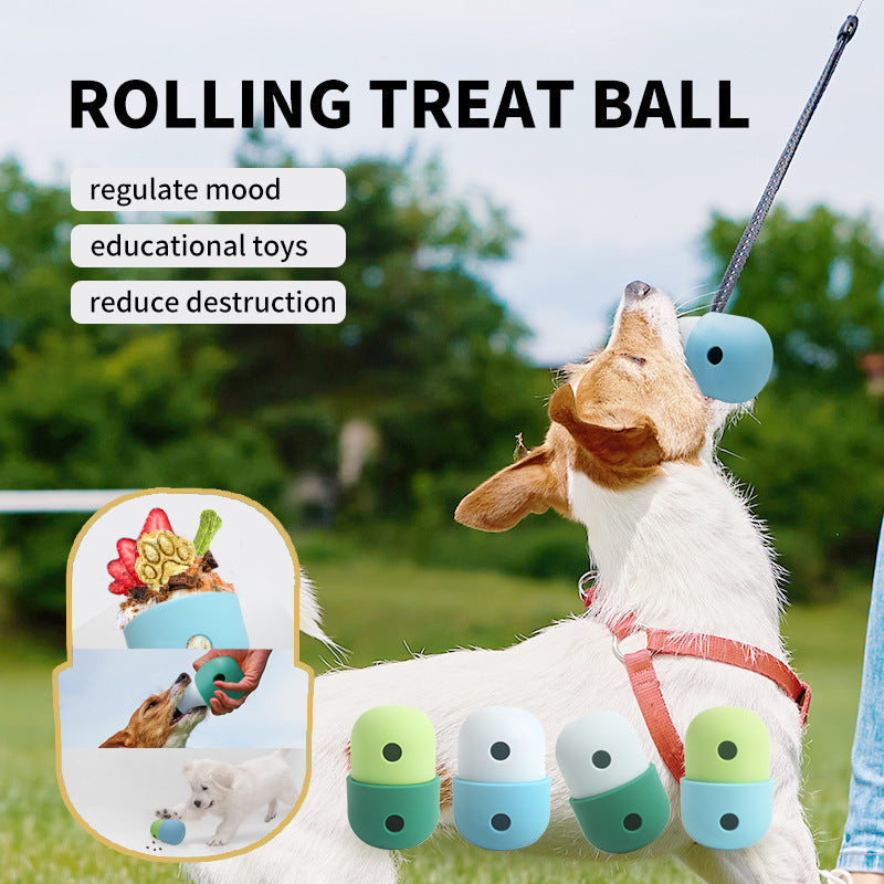 Interactive Treat Ball for Dogs | Foraging Play Toy