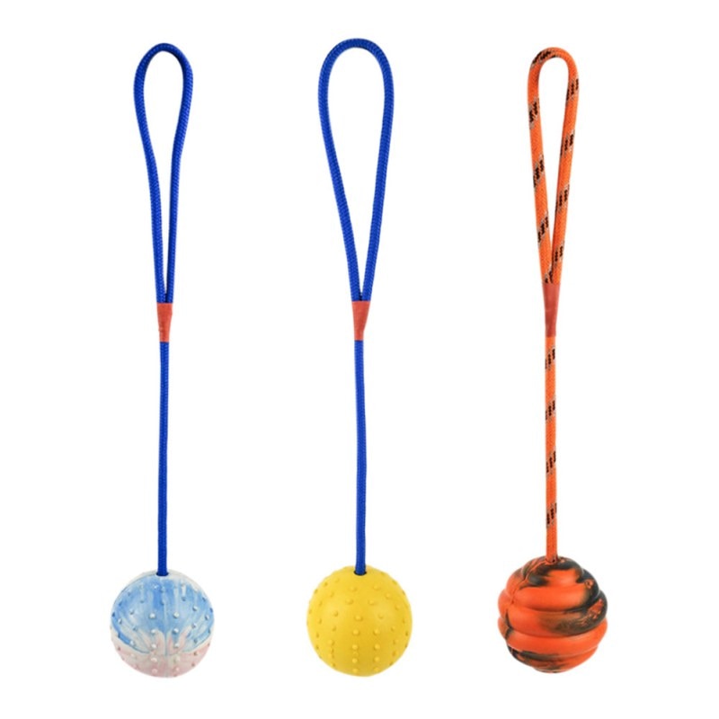 Dog Training Ball on Rope for Interactive Fetch Play